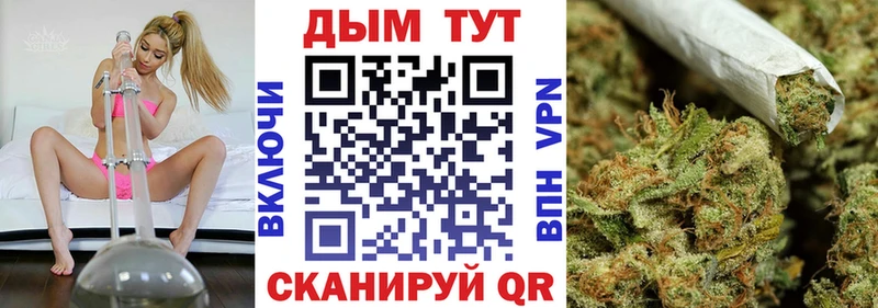 omg ССЫЛКА  Чадан  Каннабис индика 